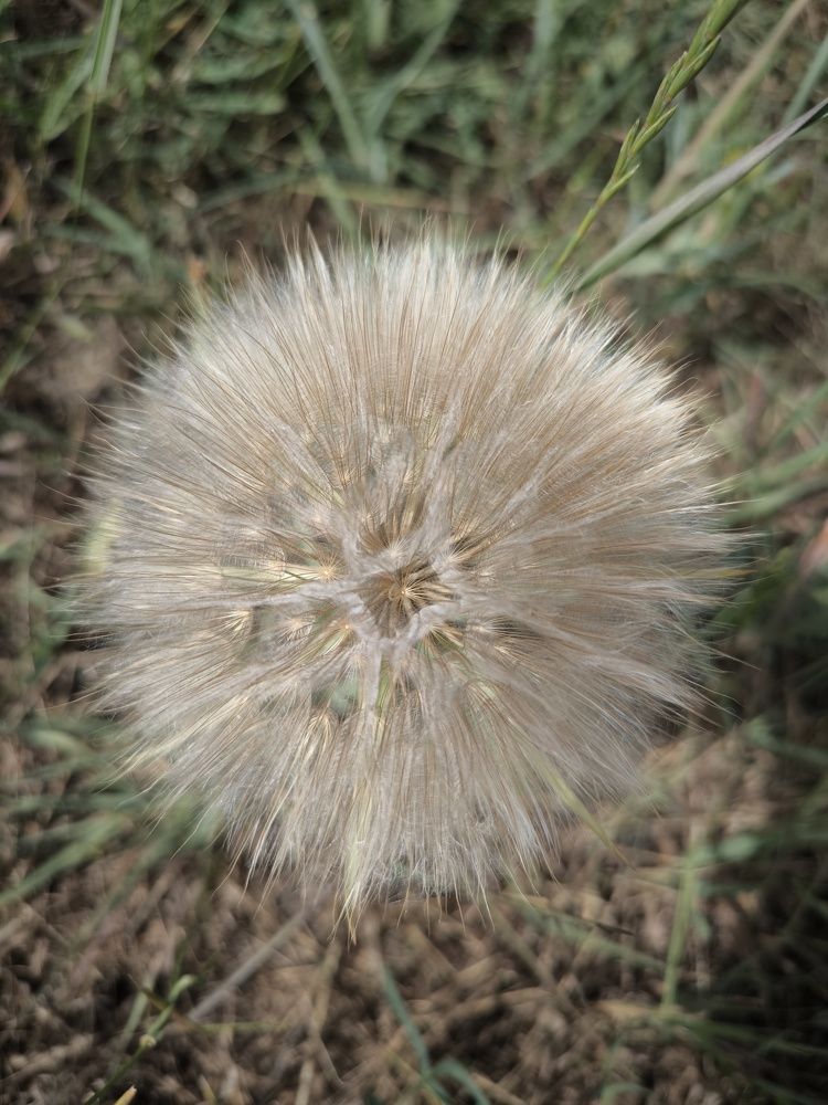 Photograph by Anatoli Baks