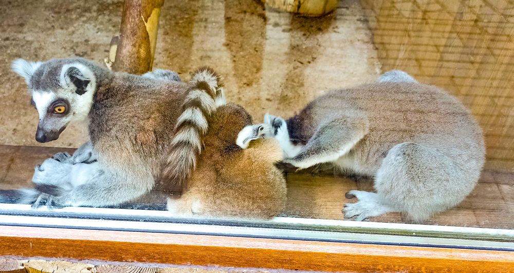 Photograph by Anton Hantov