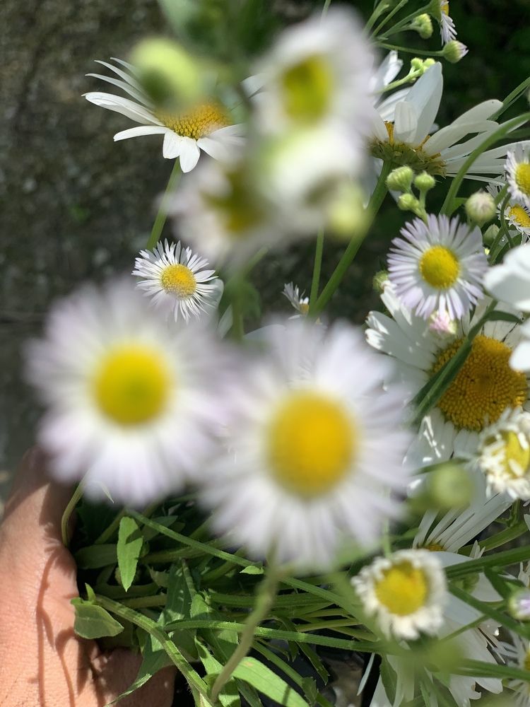 Photograph by гульназ замалеева