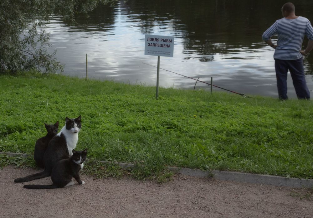 Photograph by Александр К