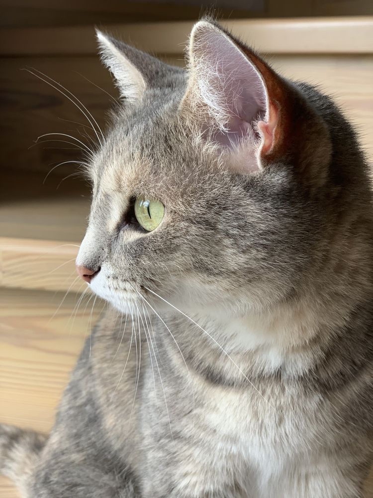 Photograph by гульназ замалеева