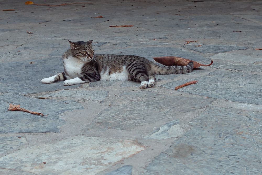 Photograph by Anatoliy Buyanov