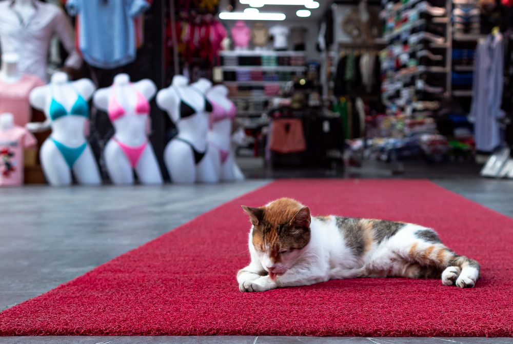 Photograph by Anatoliy Buyanov