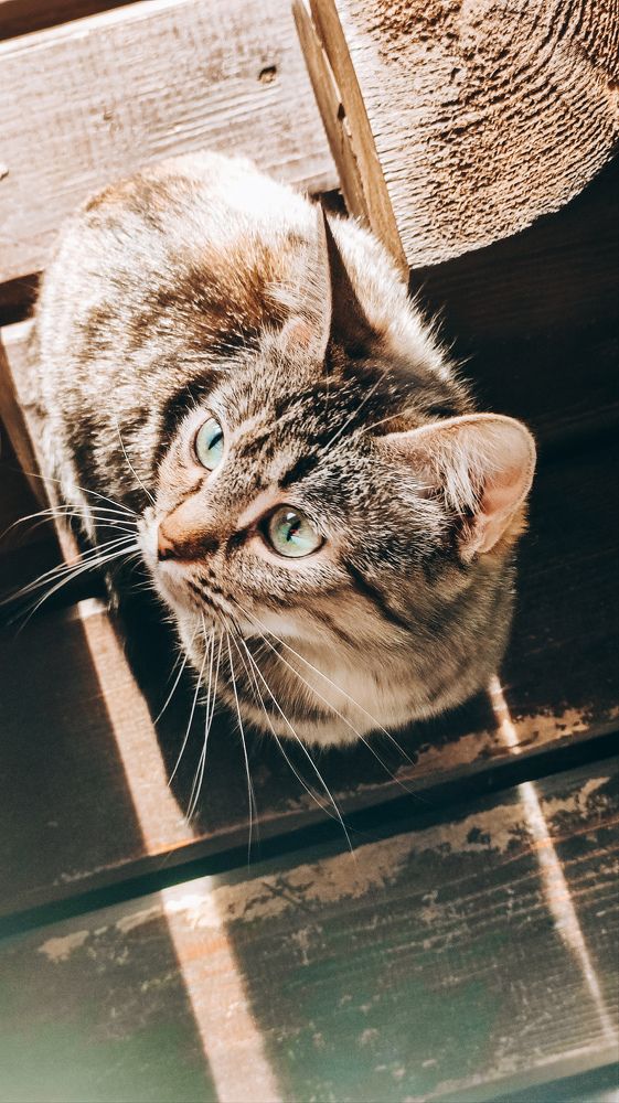 Photograph by Юлия