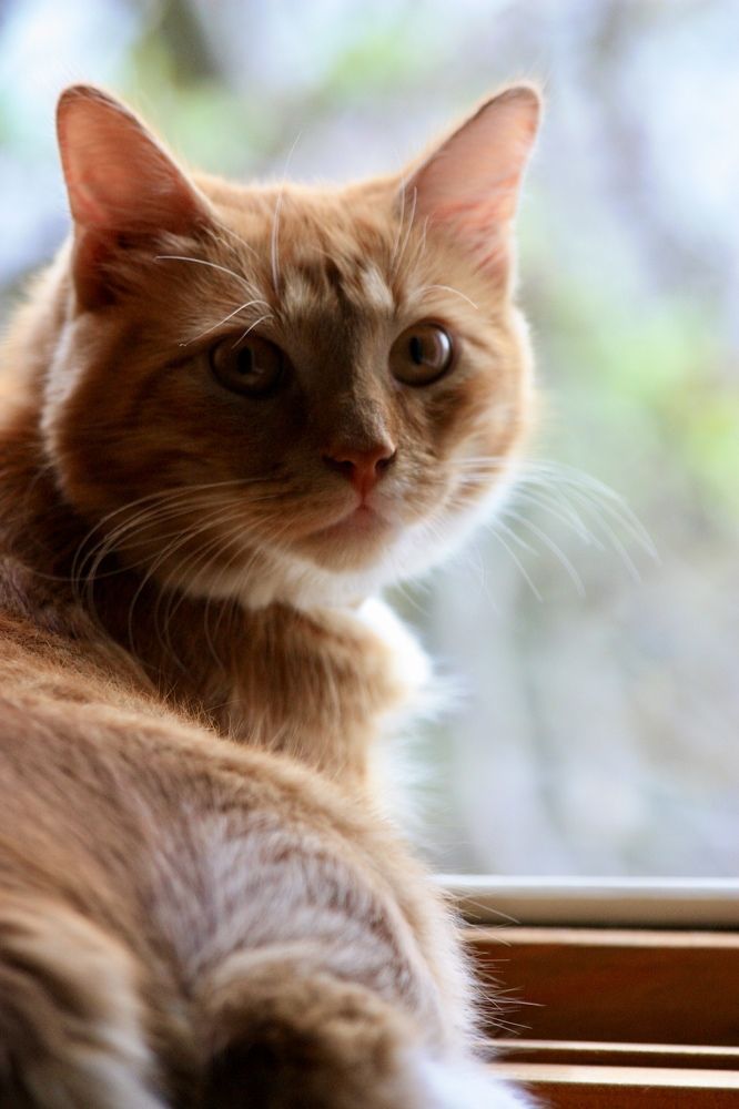 Photograph by Елена Смирнова