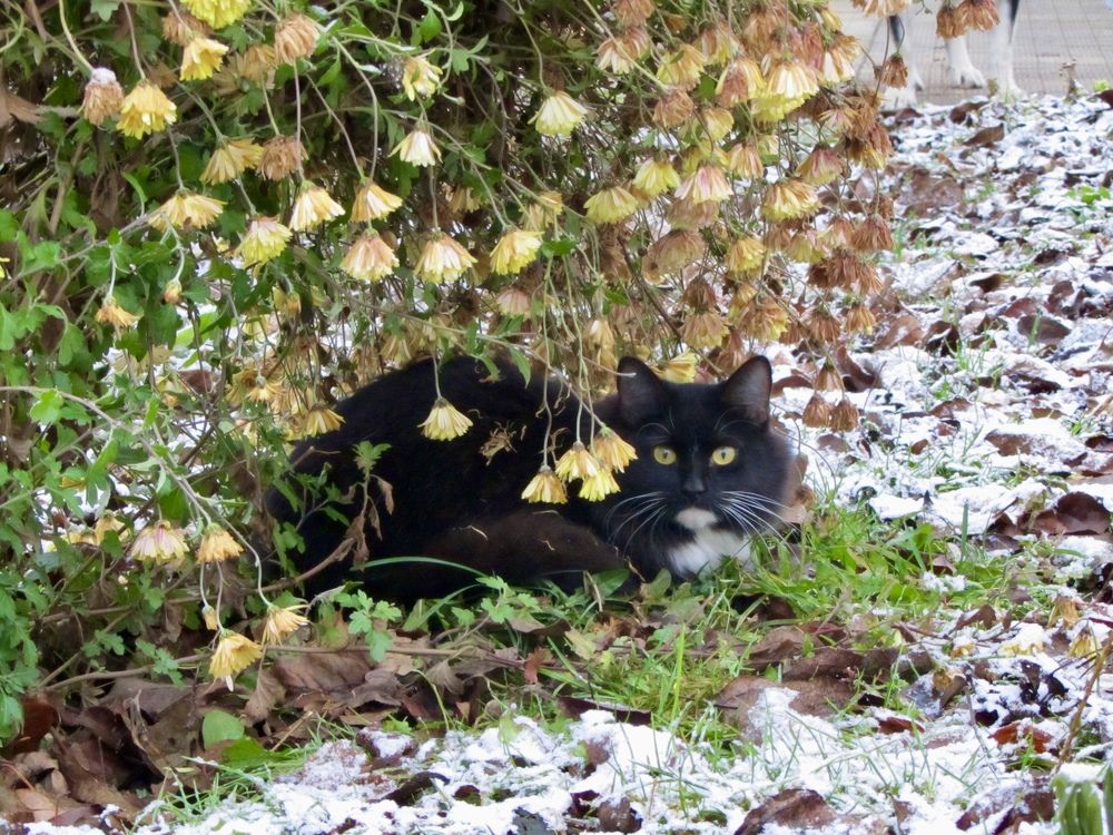 Photograph by Елена Смирнова