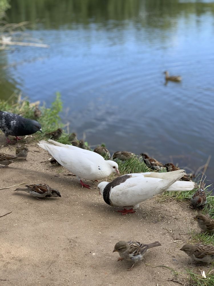 Photograph by гульназ замалеева