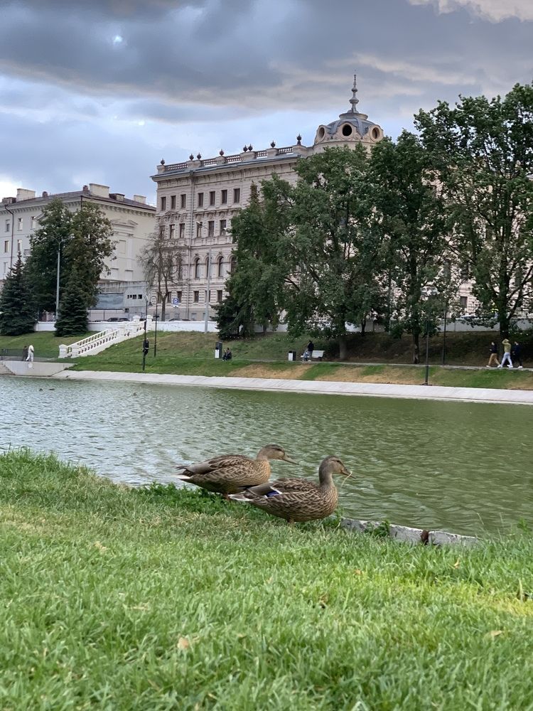 Черное озеро