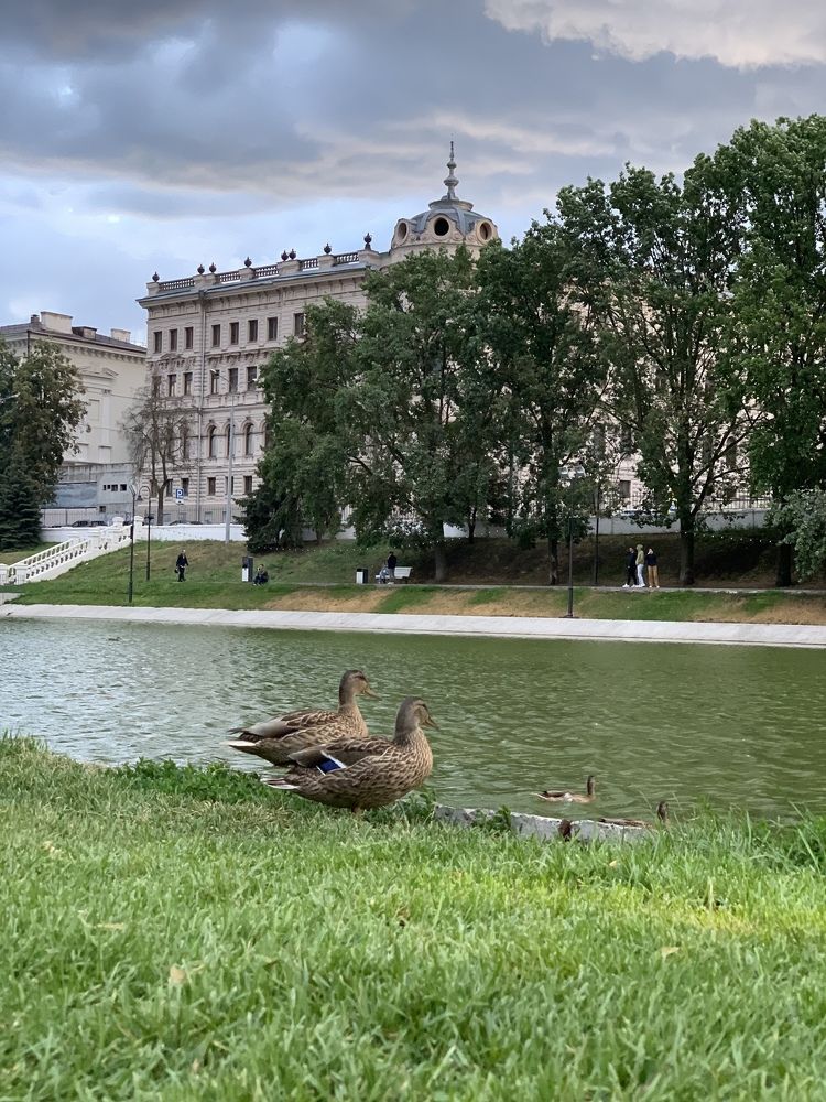 Photograph by гульназ замалеева