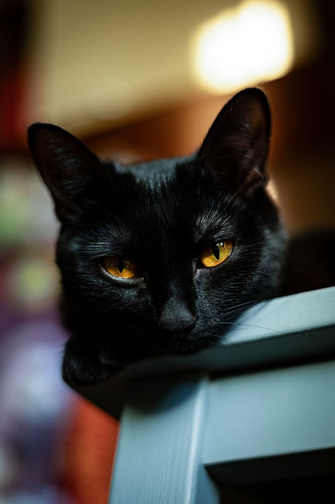 Фотография автора Вячеслав Даутов