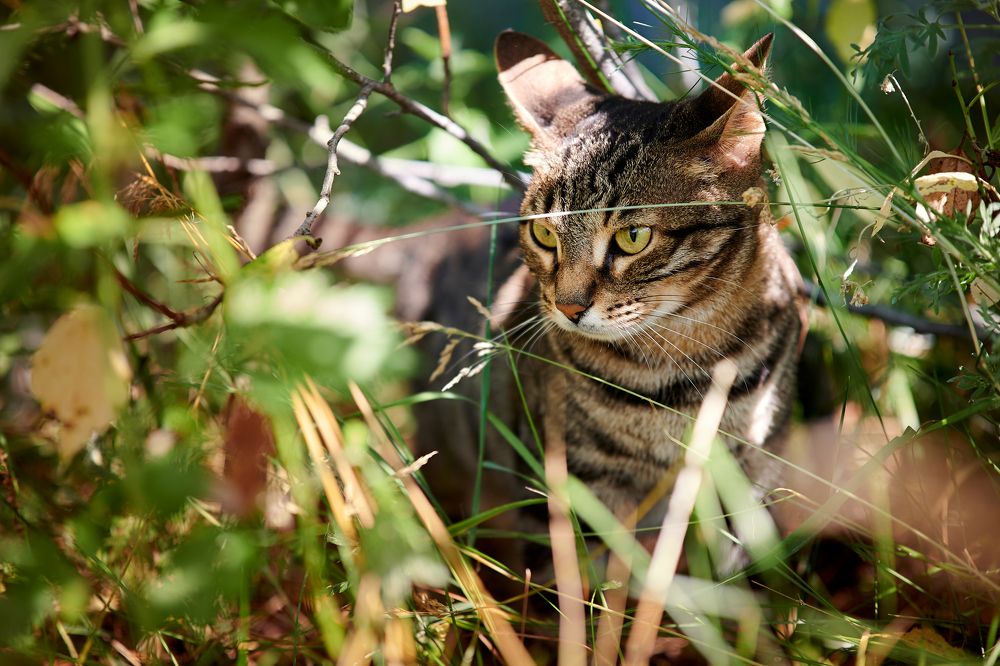 Photograph by Андрей Мольков
