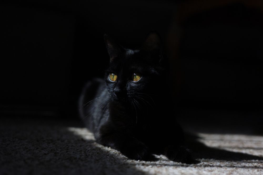 Фотография автора Вячеслав Даутов