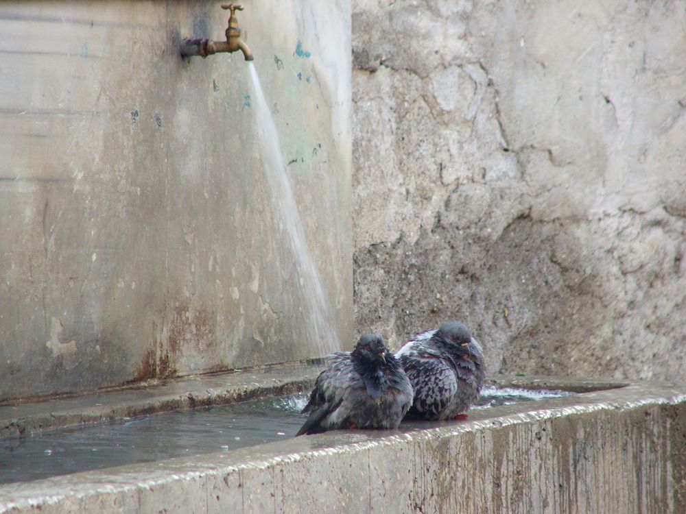 Photograph by Cengiz Yalcin