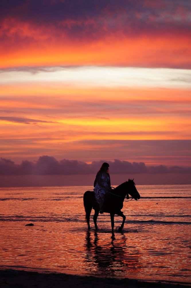 Фотография автора Светлана Зимина