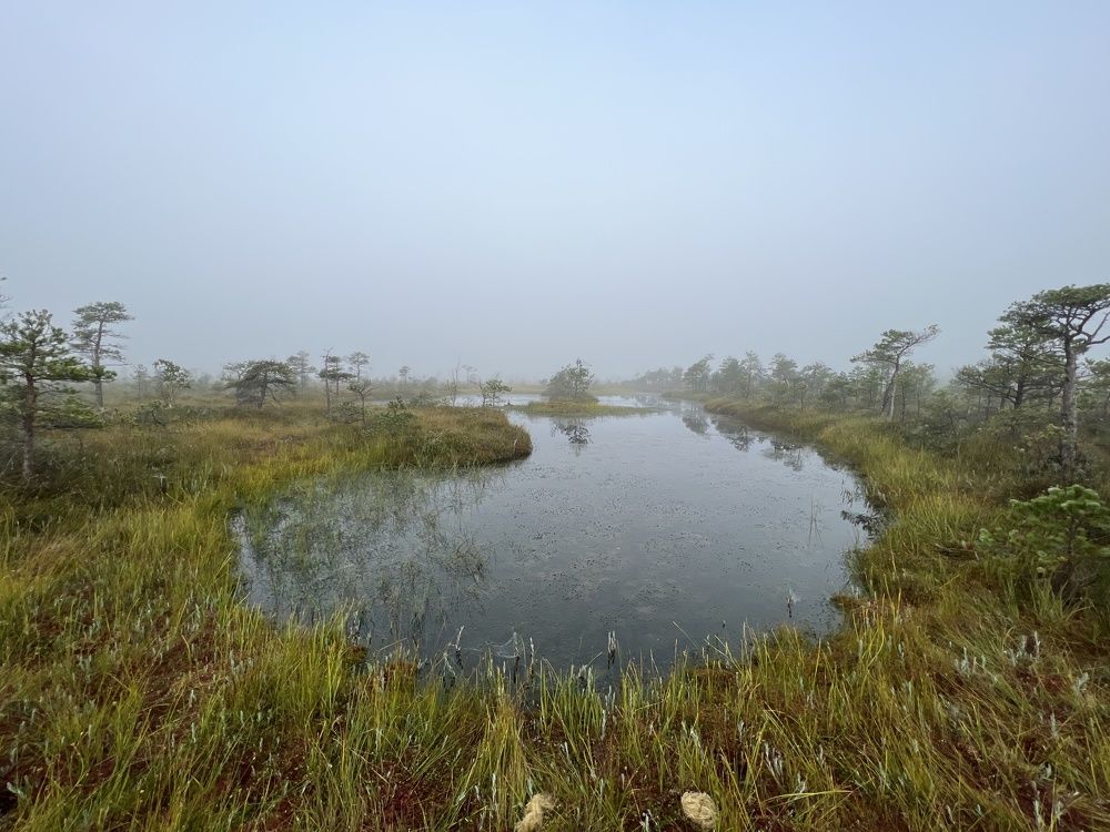 Photograph by Дарья