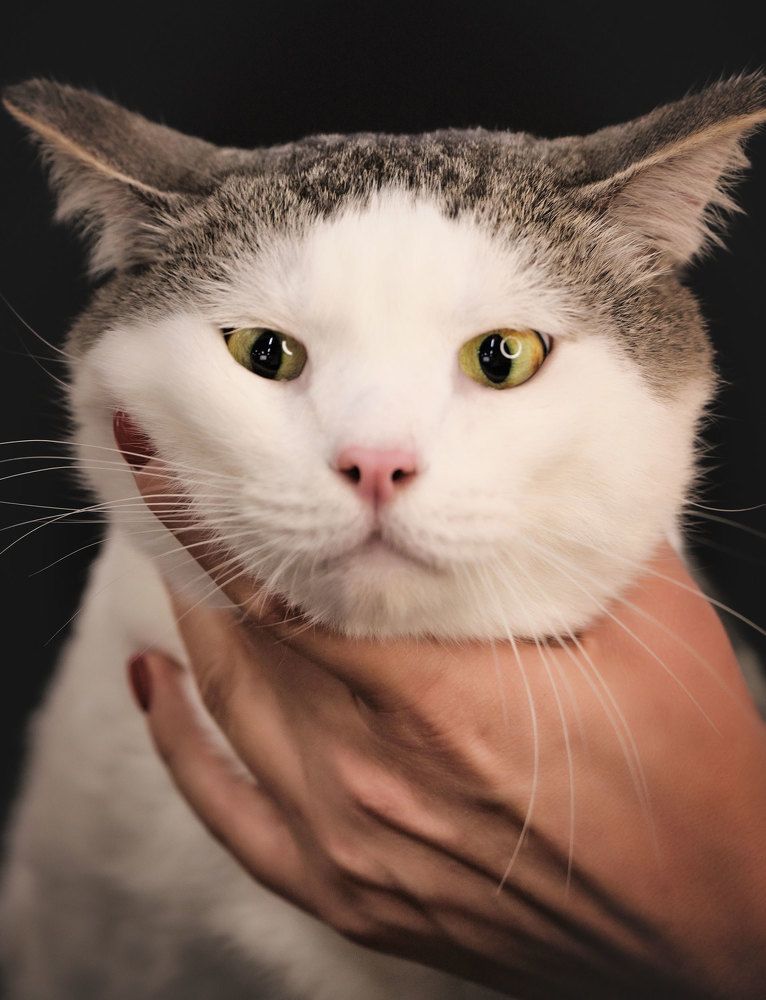 Photograph by Екатерина