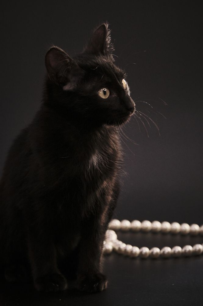 Photograph by Екатерина