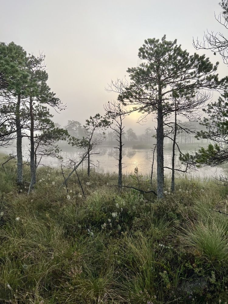 Photograph by Дарья