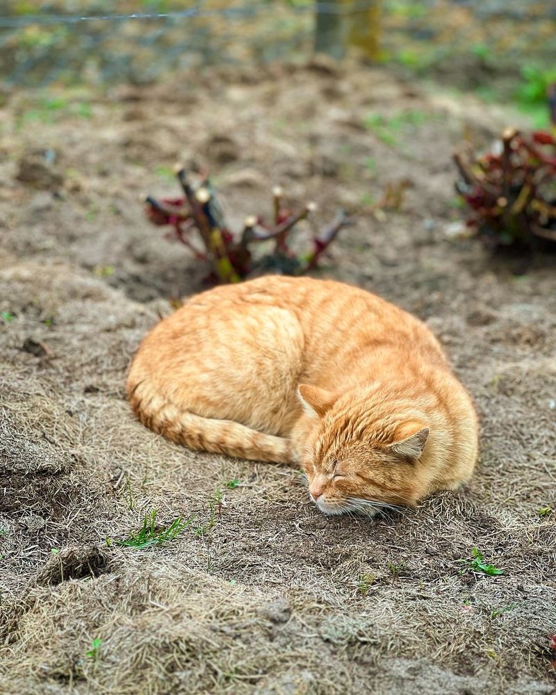 Photograph by Дарья