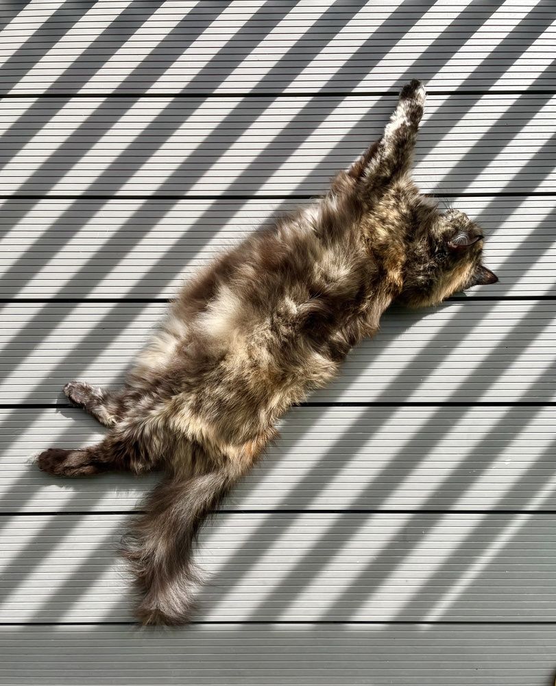 Photograph by Дарья