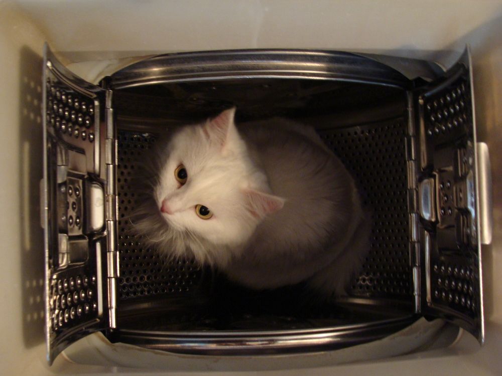 Photograph by Николай Худяков