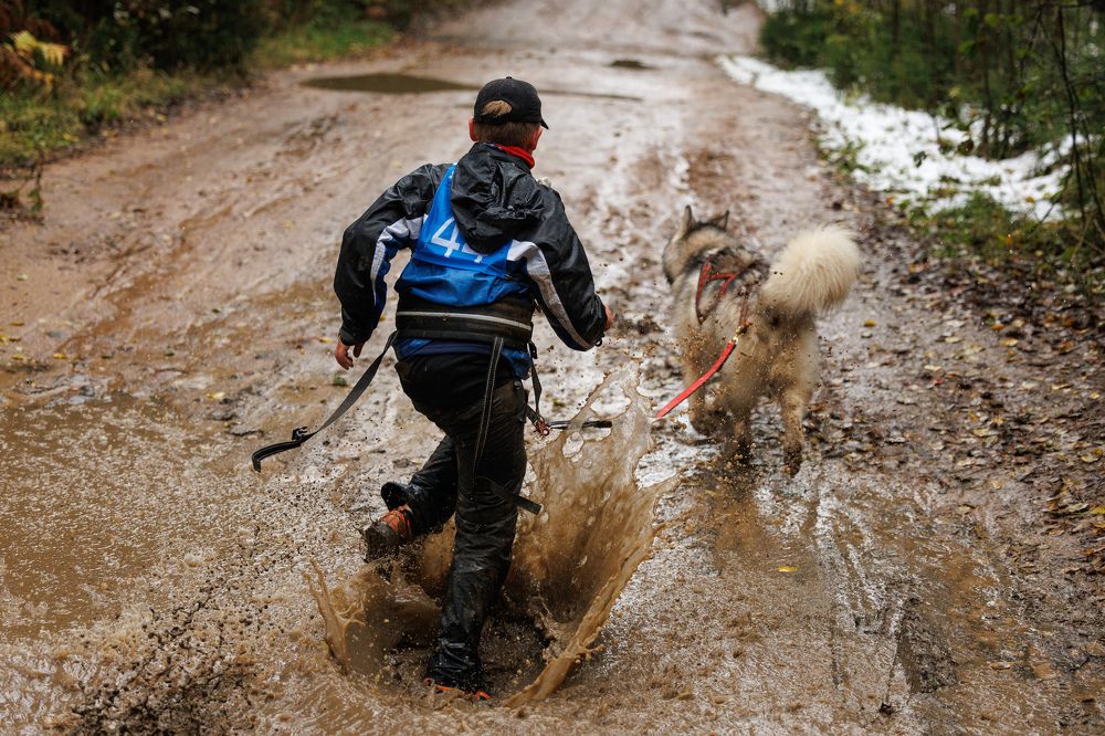 Photograph by Илья Юфа