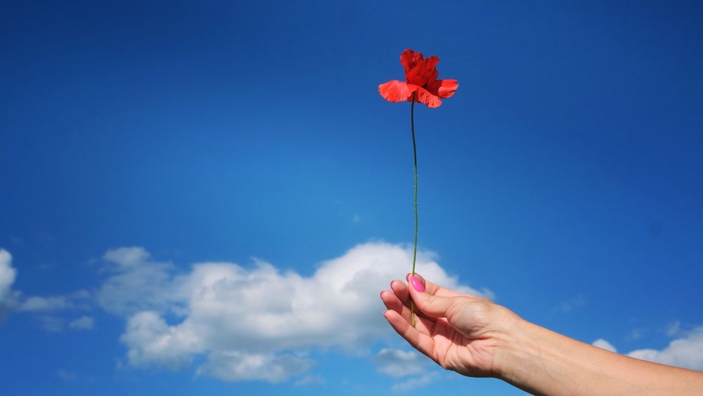 Photograph by Наталия Питолина