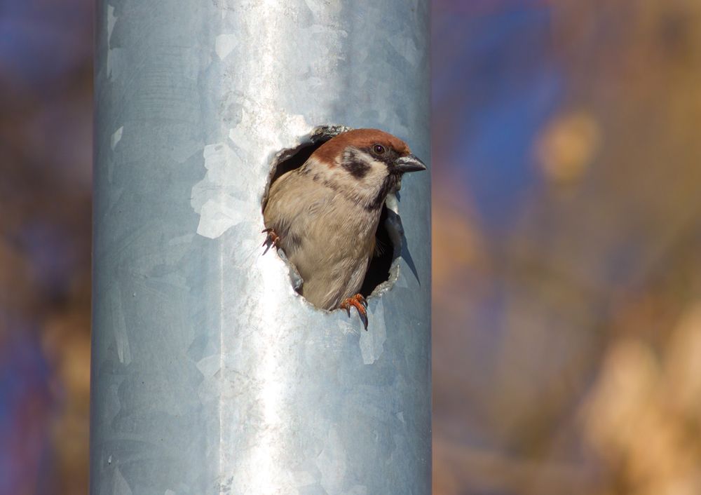 Photograph by Сергей Алексеев