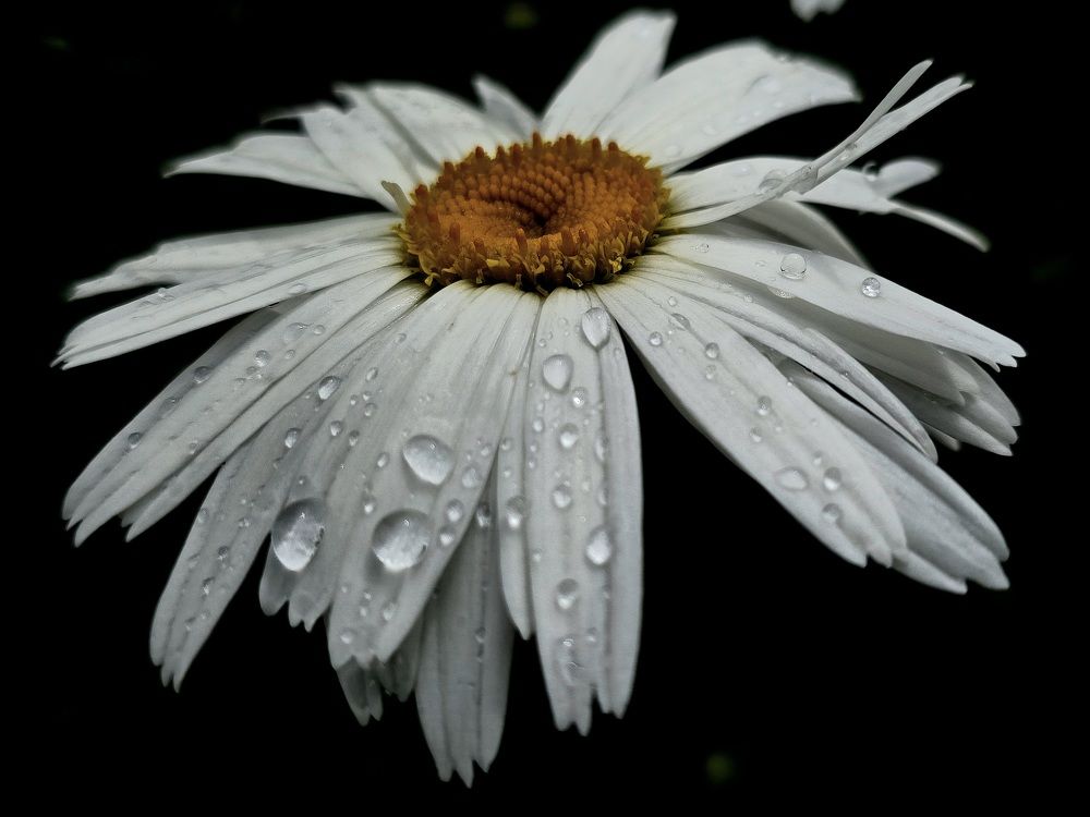 Photograph by Анна Семенова