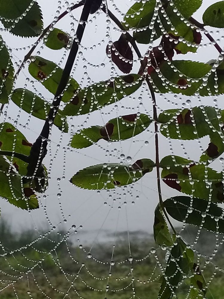 Photograph by Елена Терскова