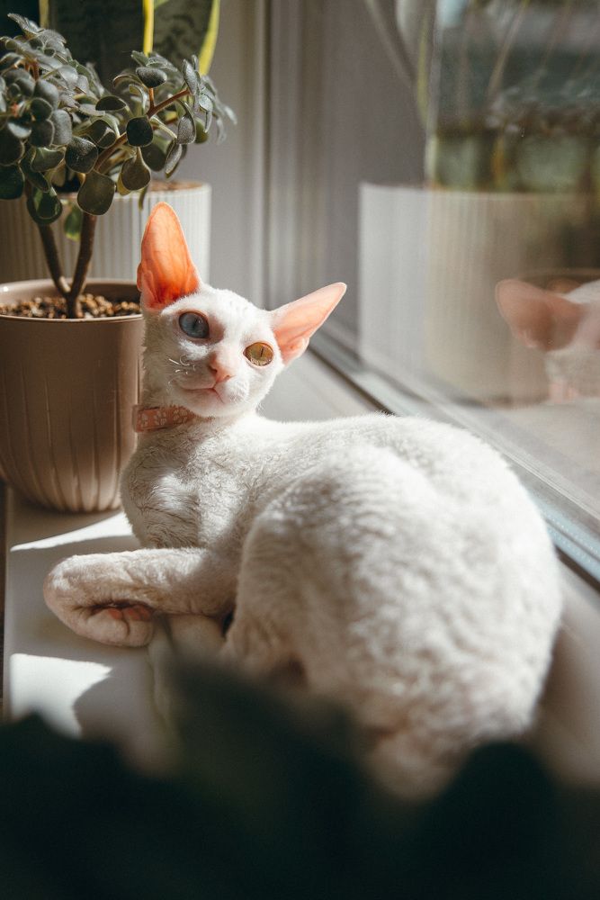 Photograph by Анна Бобкова