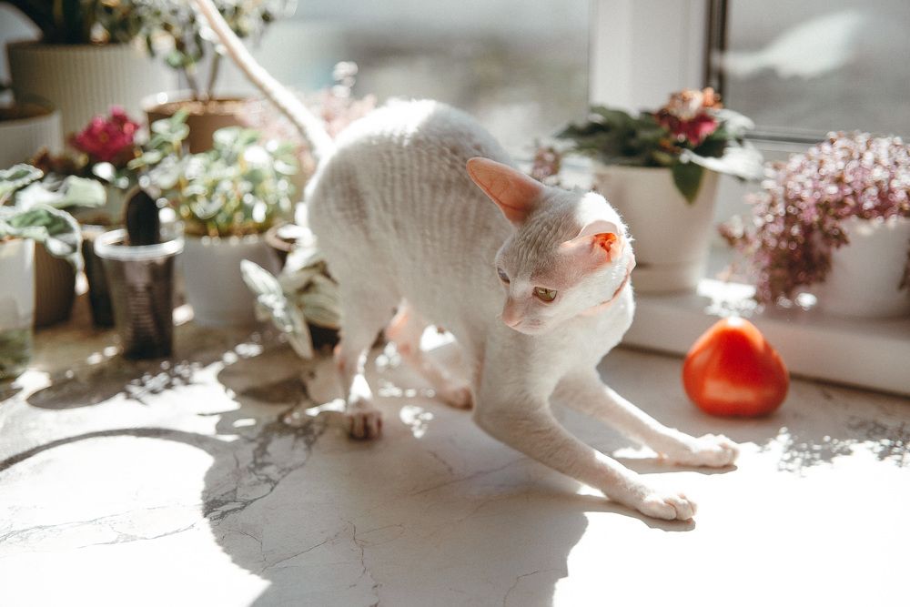 Photograph by Анна Бобкова