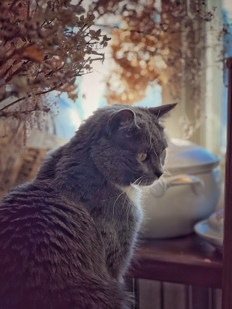 Photograph by Галина Аскольдовна Луковникова