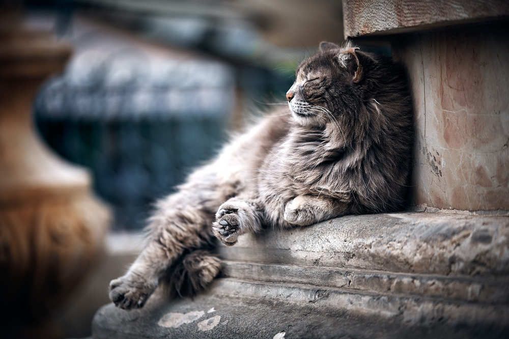 Photograph by Безбородов Георгий