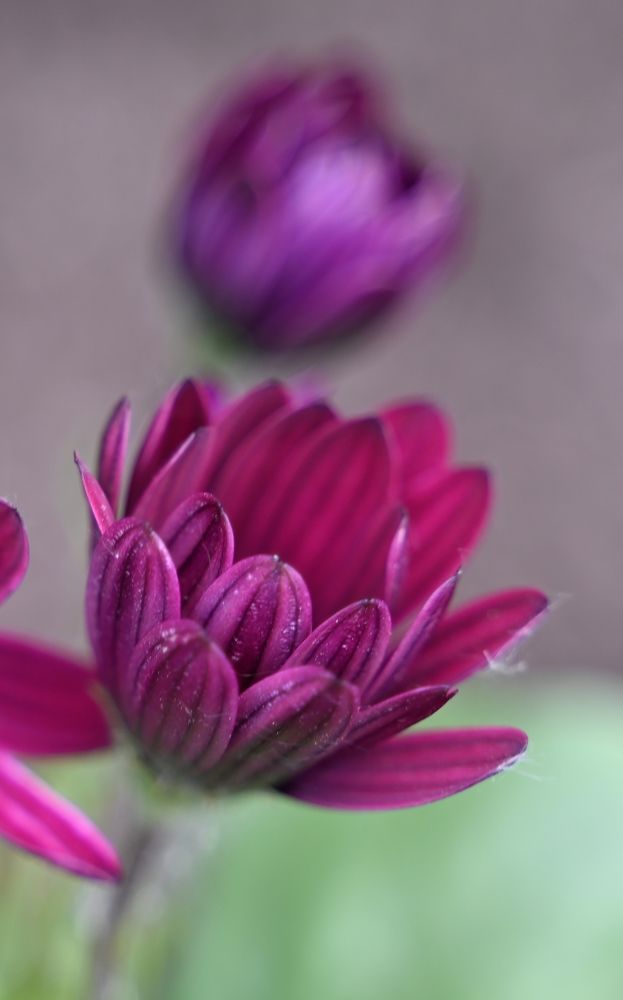 Photograph by Ксения Щербань