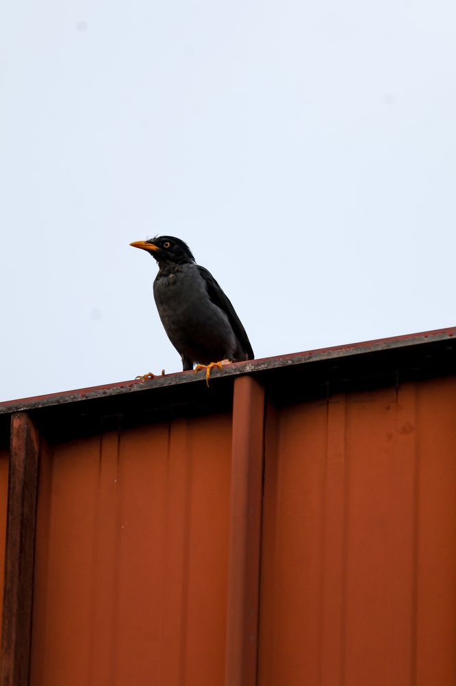 Photograph by DONG HAN CHIM