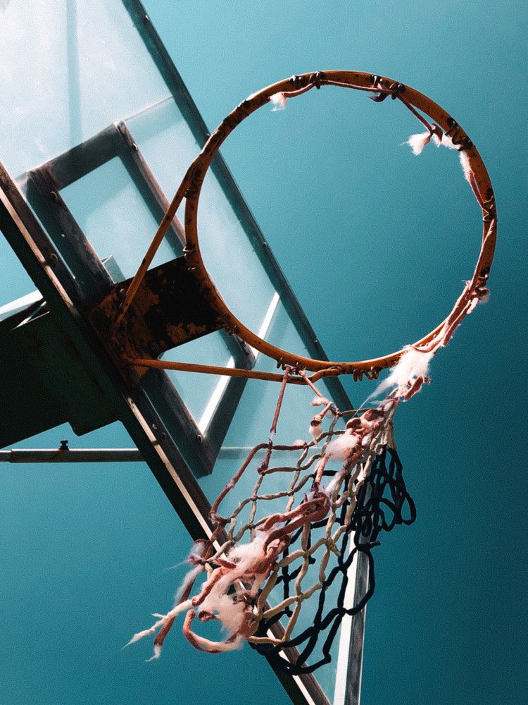 Photograph by Zinaida Sassarini