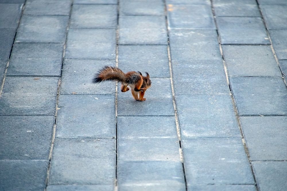 Photograph by Валерий Клейменов