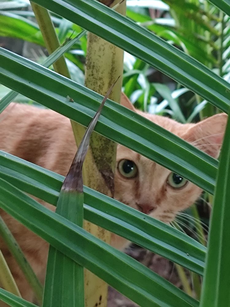 Photograph by Наталья