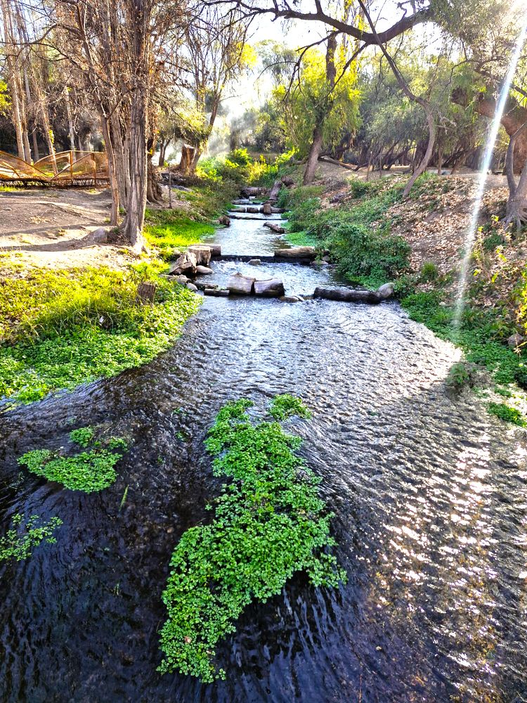 Фотография автора MIGUEL OMAR BARBERIS