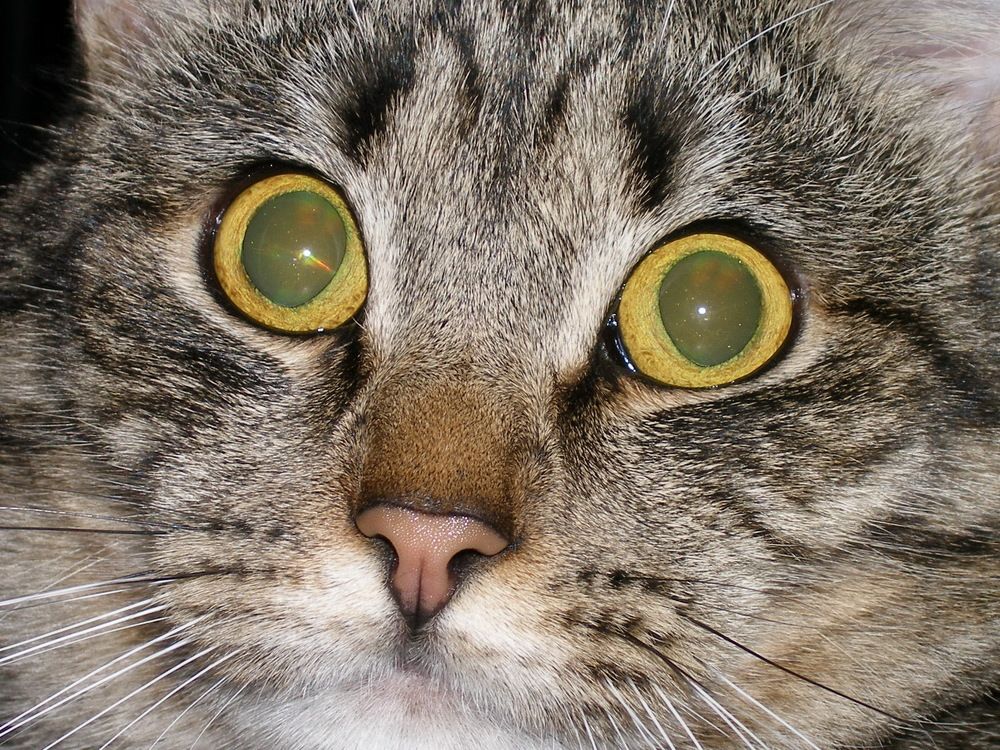 Photograph by Наталия Мельникова