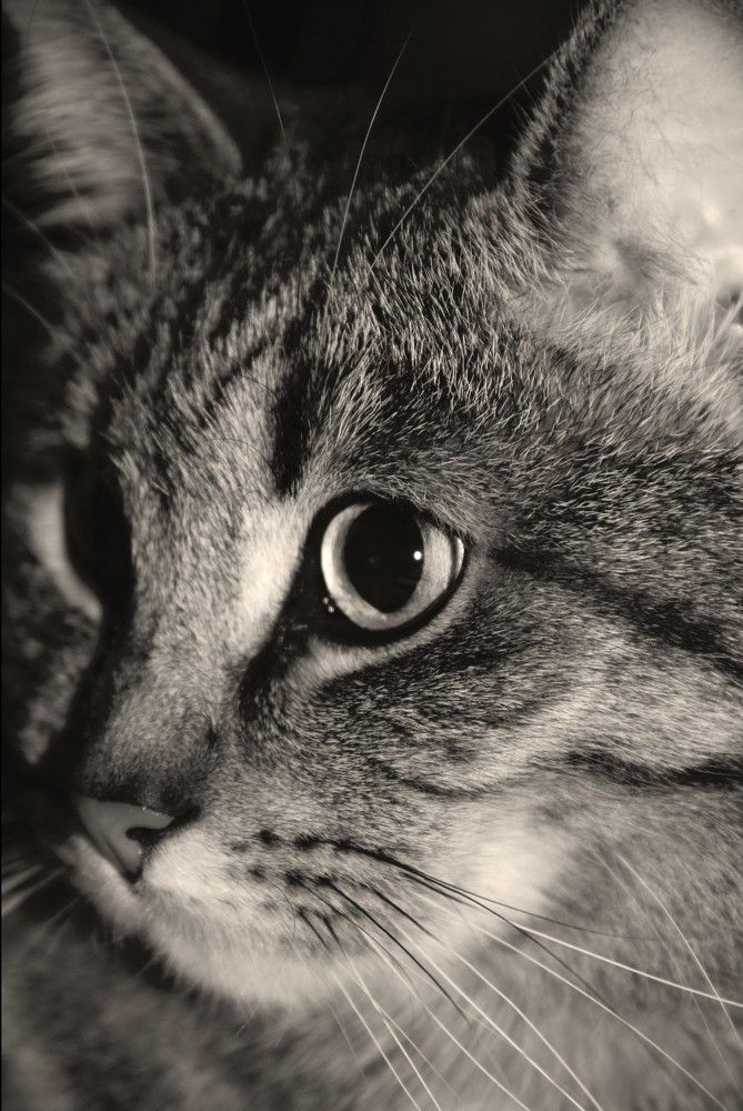 Photograph by Наталия Мельникова