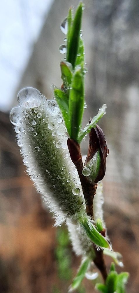 Photograph by Евгения Шашина