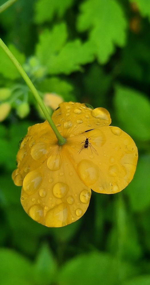 Photograph by Евгения Шашина