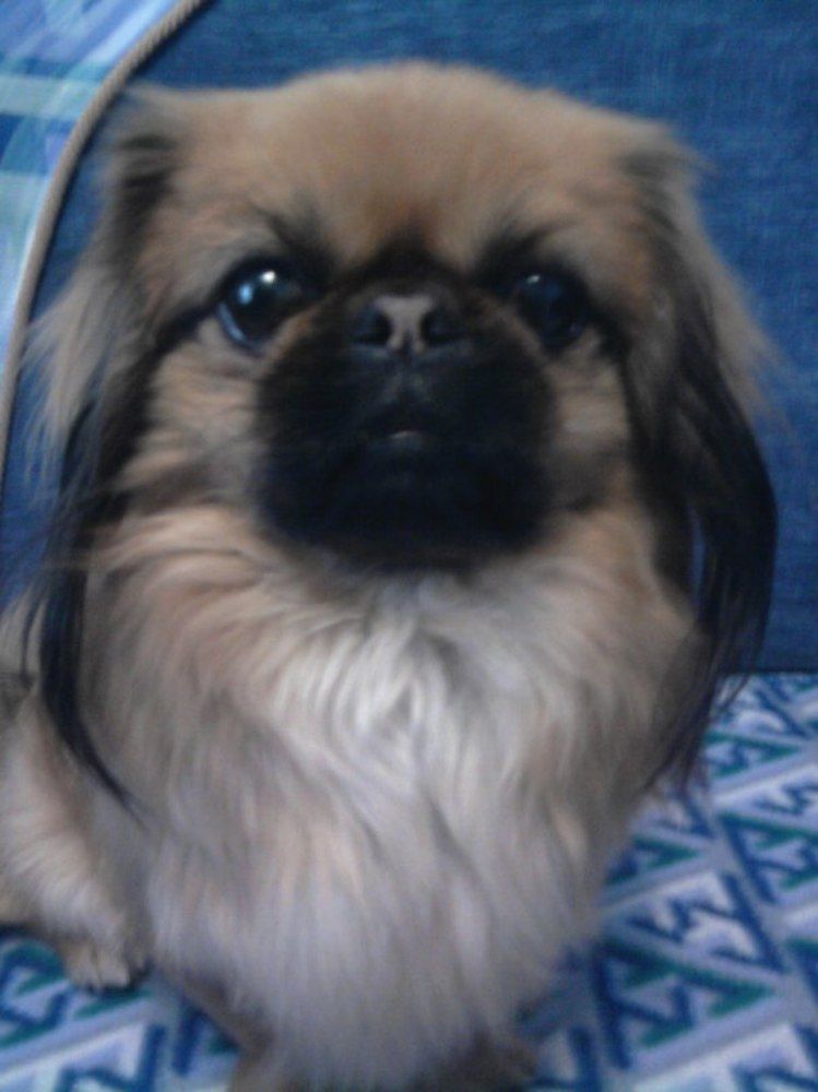 Photograph by Елена