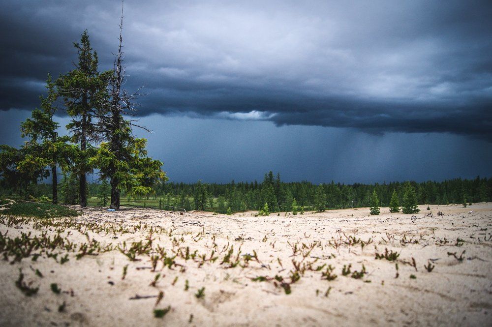 Затишье, перед бурей