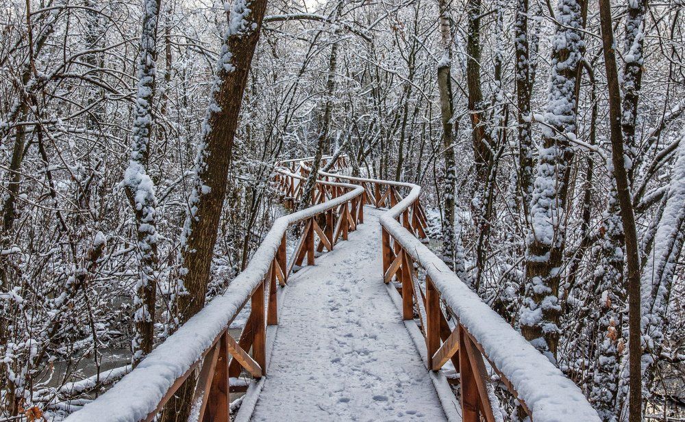 Зимняя зарисовка