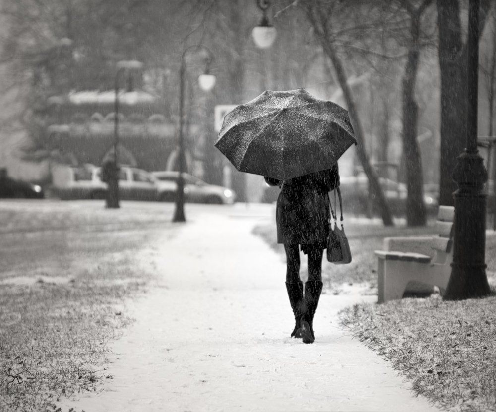 Photograph by Вадим Шейдин