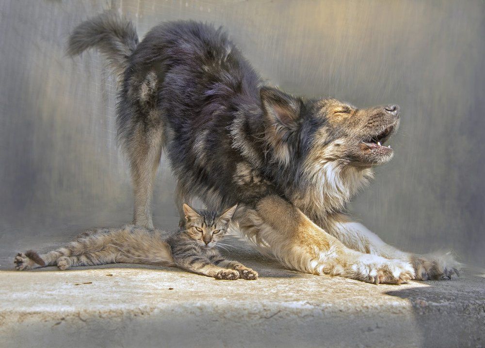 Photograph by Владимир Корольков