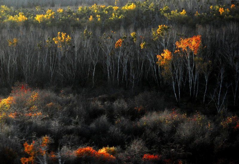 Евгений Епанчинцев, Russia